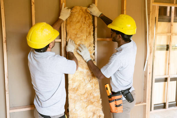 Best Affordable Insulation Services  in Lemont, IL