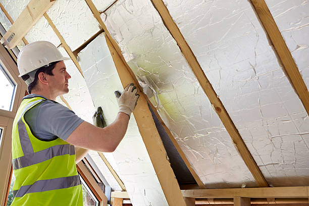 Best Home Insulation Services  in Lemont, IL